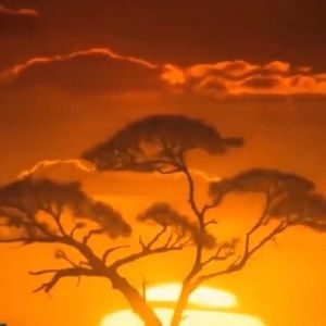 Meet your Posher, Mallak